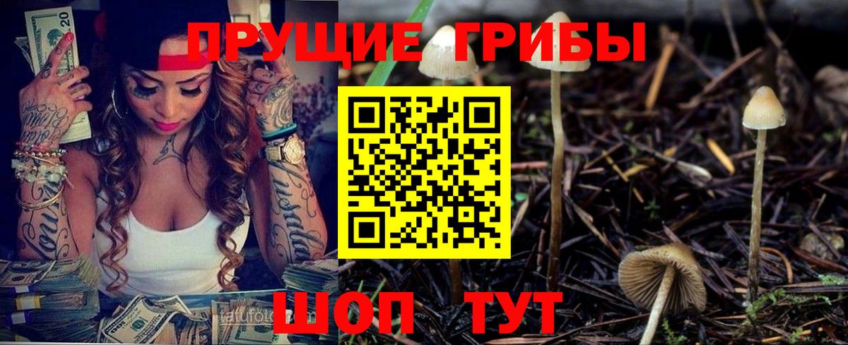 Псилоцибиновые грибы Psilocybe Юрга