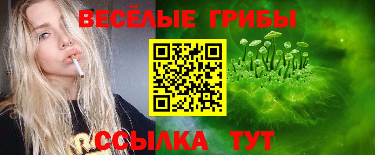 Псилоцибиновые грибы мухоморы  где можно купить   Псилоцибиновые грибы Psilocybine cubensis  Юрга  Вход с VPN 